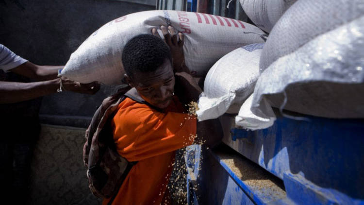Emergency aid supplied by CAFOD's partner Caritas